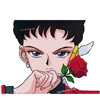 🌹