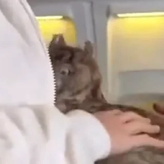 😮