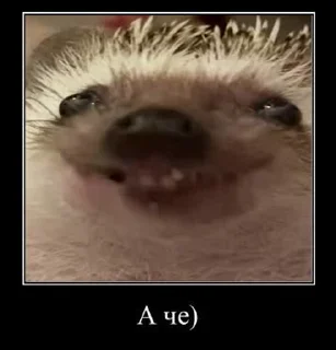 😁