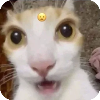 👍