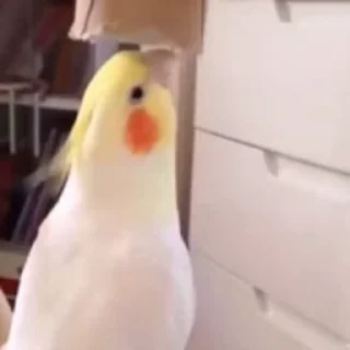 😊