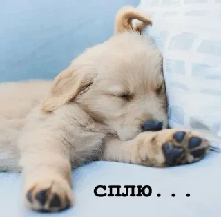 😴