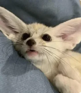 😨