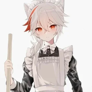 🐱