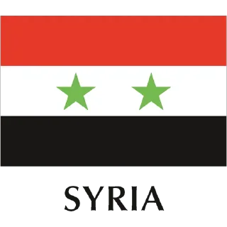 🇸🇾