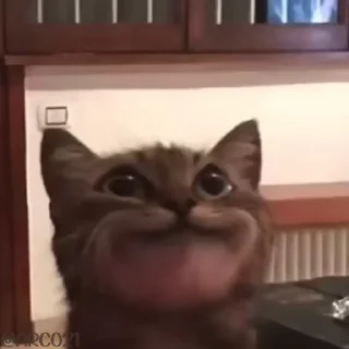 😌
