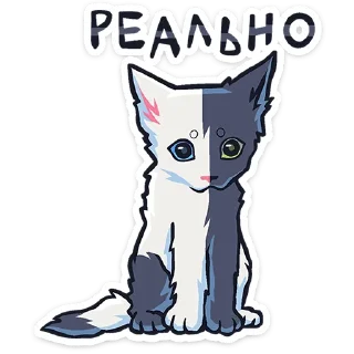 ⭐