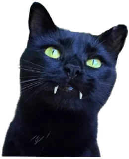 🦷