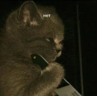 😭