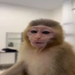 📸
