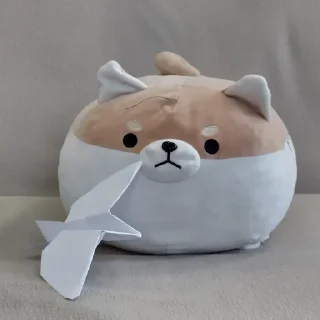 ✈