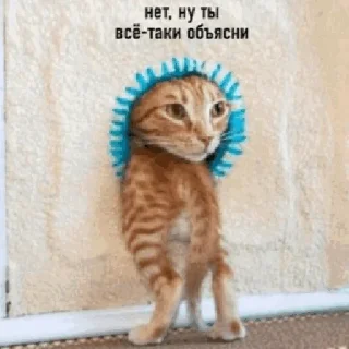 🤔