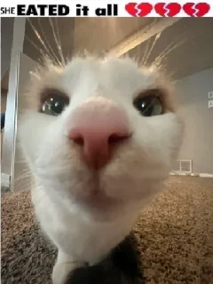 😐