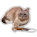 🔪