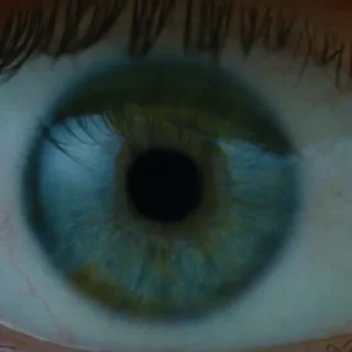 👁