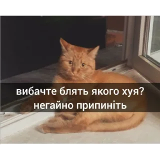 😃