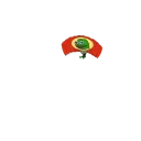 🪂
