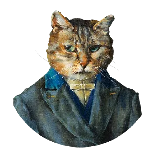 😿