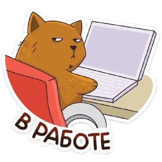💻