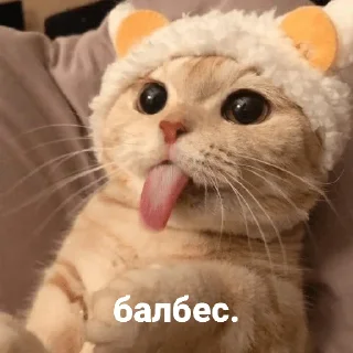 😝