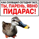 🦆