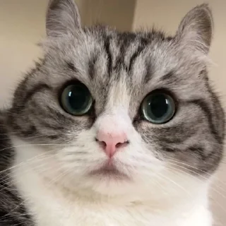😑