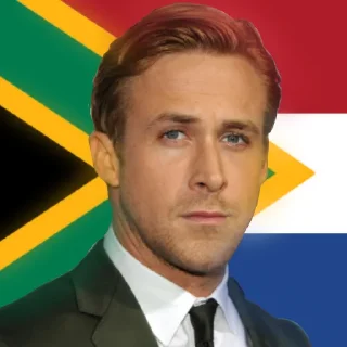🇿🇦