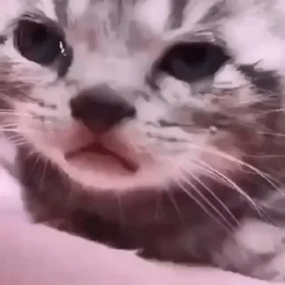 😞