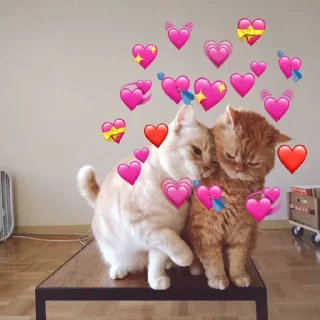 ❤️