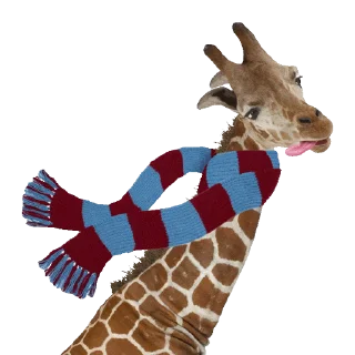 🦒