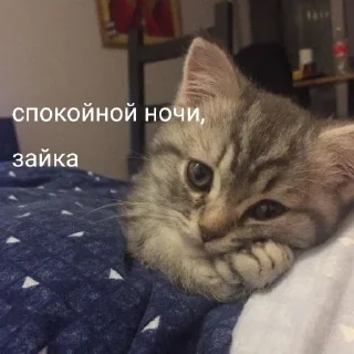 🥱