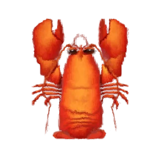 🦞