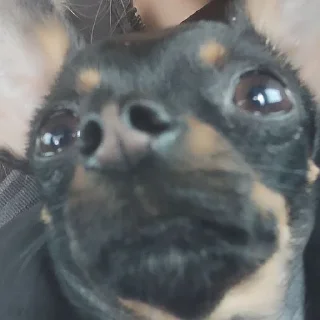 😐