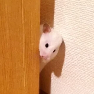 😉