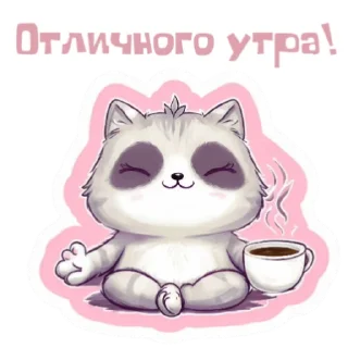 🐱