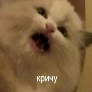 😫