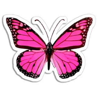 🦋