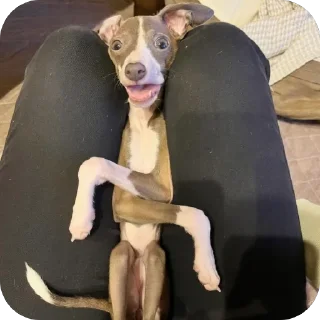 😳