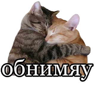 💕