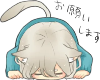 🙇‍♀️