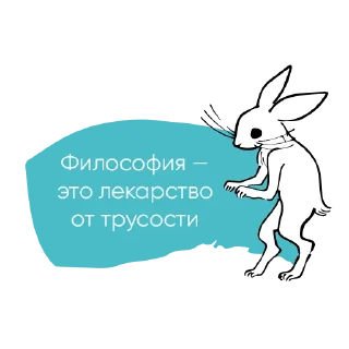 🐇