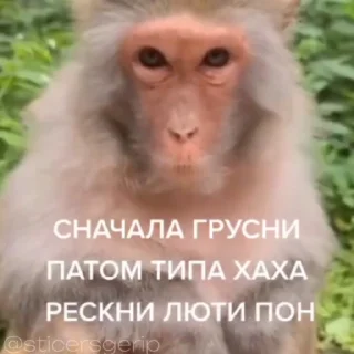 😎