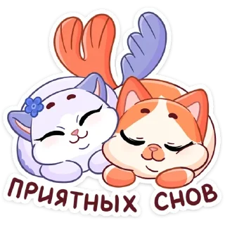 😴