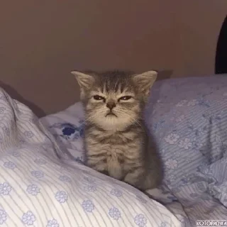 💗