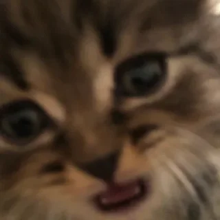 😍