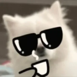 😎