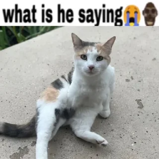 😶