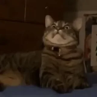 😳