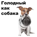 🐶