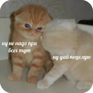 🥰